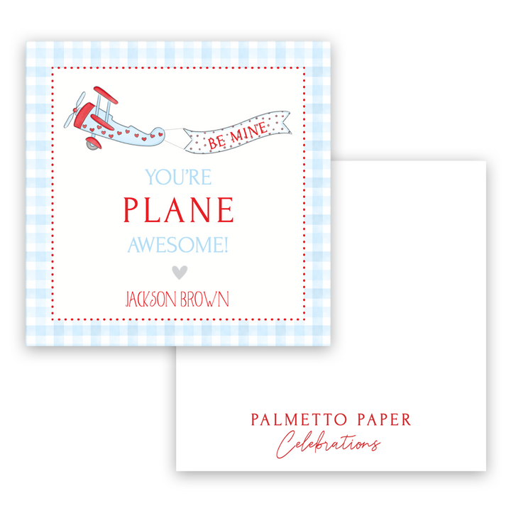 Plane Awesome Valentine