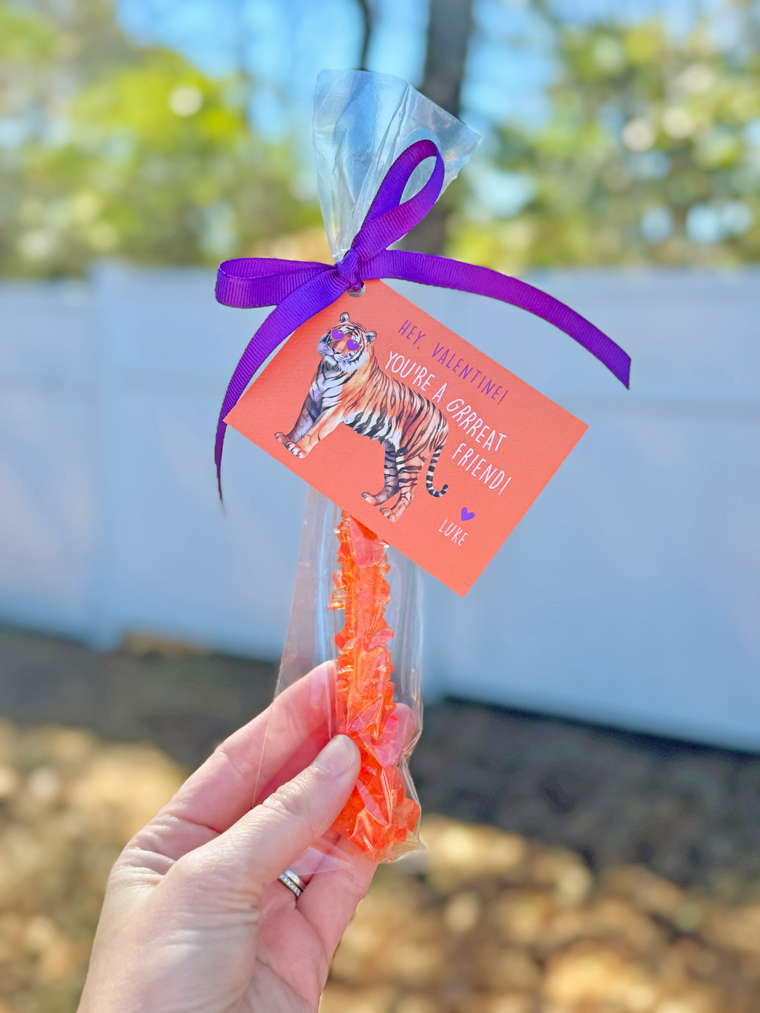 You're a Grrreat Friend Valentine - Orange